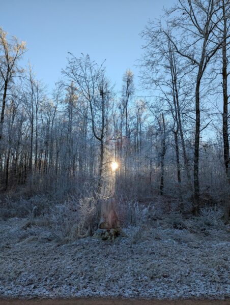 Mega Halle für Oldtimer
